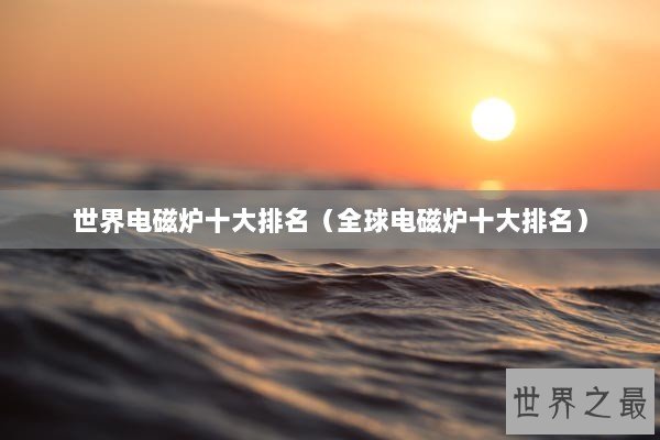 世界电磁炉十大排名（全球电磁炉十大排名）