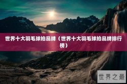 世界十大羽毛球拍品牌（世界十大羽毛球拍品牌排行榜）