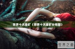 世界十大金矿（世界十大金矿分布图）