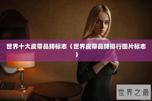 世界十大皮带品牌标志（世界皮带品牌排行图片标志）