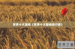 世界十大禁枪（世界十大禁枪排行榜）