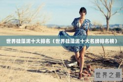 世界硅藻泥十大排名（世界硅藻泥十大名牌排名榜）