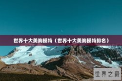 世界十大美胸模特（世界十大美胸模特排名）