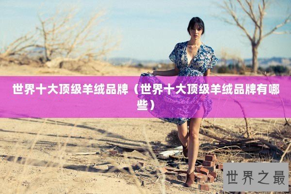 世界十大顶级羊绒品牌（世界十大顶级羊绒品牌有哪些）