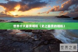 世界十大最贵相机（史上最贵的相机）