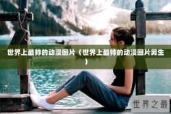 世界上最帅的动漫图片（世界上最帅的动漫图片男生）