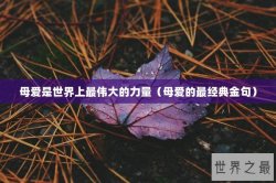 母爱是世界上最伟大的力量（母爱的最经典金句）