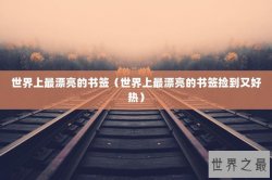 世界上最漂亮的书签（世界上最漂亮的书签捡到又好热）