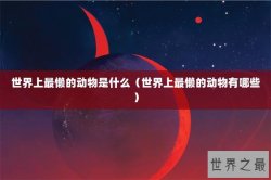 世界上最懒的动物是什么（世界上最懒的动物有哪些）