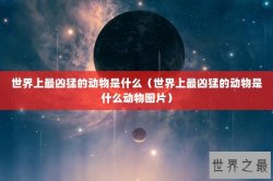 世界上最凶猛的动物是什么（世界上最凶猛的动物是什么动物图片）