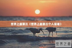 世界上最第三（世界上最第三个人是谁）