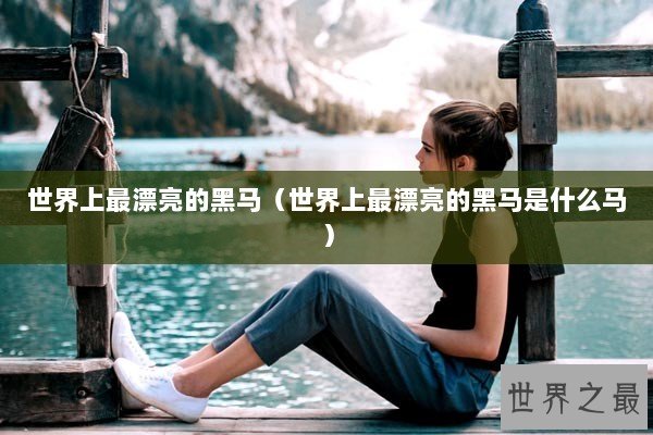 世界上最漂亮的黑马（世界上最漂亮的黑马是什么马）