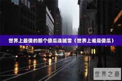 世界上最傻的那个傻瓜连城雪（世界上谁是傻瓜）