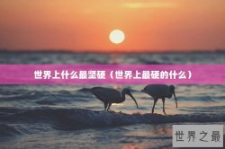 世界上什么最坚硬（世界上最硬的什么）