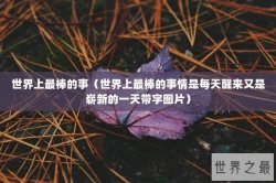 世界上最棒的事（世界上最棒的事情是每天醒来又是崭新的一天带字图片）