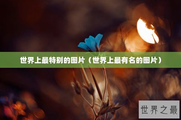 世界上最特别的图片（世界上最有名的图片）