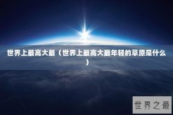 世界上最高大最（世界上最高大最年轻的草原是什么）