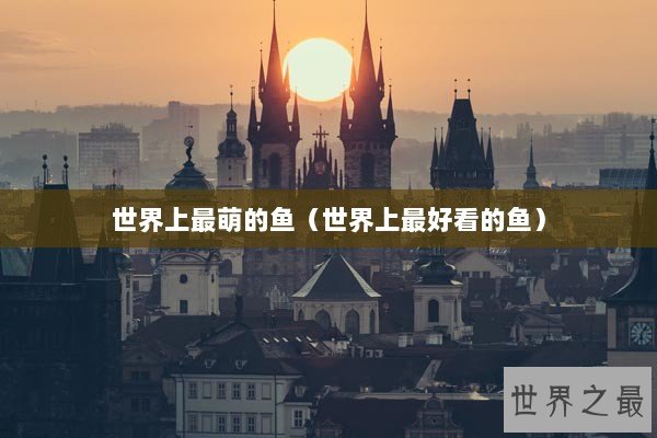 世界上最萌的鱼（世界上最好看的鱼）