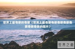 世界上最奇葩的奇葩（世界上最奇葩奇葩奇葩奇葩奇葩奇葩奇葩的图片）