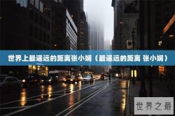 世界上最遥远的距离张小娴（最遥远的距离 张小娴）