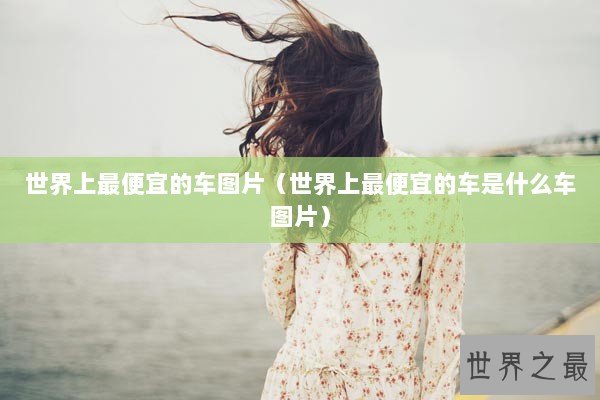 世界上最便宜的车图片（世界上最便宜的车是什么车图片）