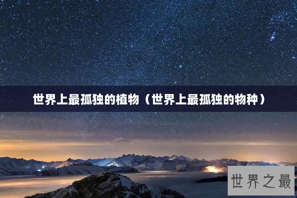 世界上最孤独的植物（世界上最孤独的物种）