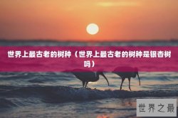 世界上最古老的树种（世界上最古老的树种是银杏树吗）