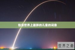 包含世界上最胖的儿童的词条