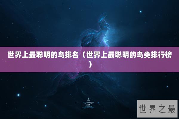 世界上最聪明的鸟排名（世界上最聪明的鸟类排行榜）
