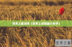 世界上最词语（世界上词语最少的字）