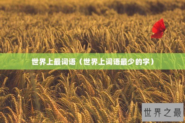 世界上最词语（世界上词语最少的字）