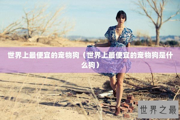 世界上最便宜的宠物狗（世界上最便宜的宠物狗是什么狗）