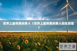 世界上最完美的男人（世界上最完美的男人羽生结弦）
