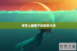 世界上最粽子的简单介绍