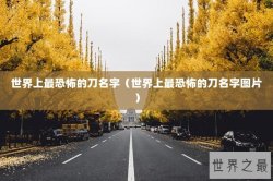 世界上最恐怖的刀名字（世界上最恐怖的刀名字图片）