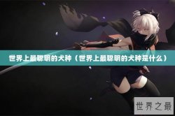 世界上最聪明的犬种（世界上最聪明的犬种是什么）