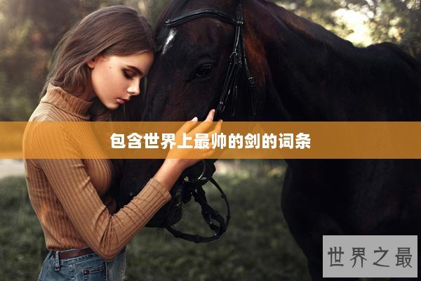 包含世界上最帅的剑的词条