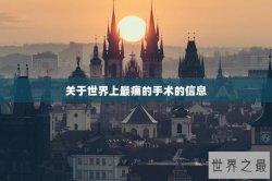 关于世界上最痛的手术的信息