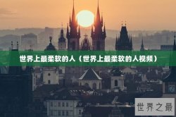 世界上最柔软的人（世界上最柔软的人视频）