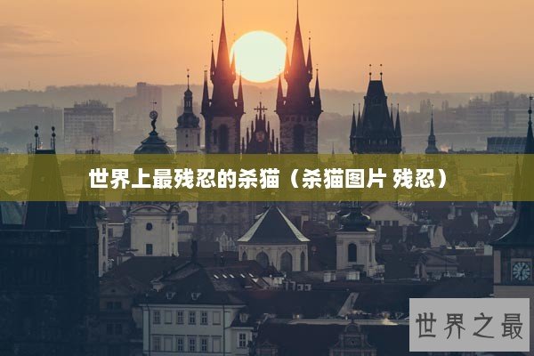 世界上最残忍的杀猫（杀猫图片 残忍）