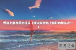 世界上最奇葩的枕头（据说是世界上最好的枕头之一）