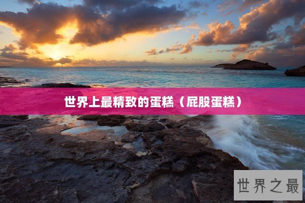 世界上最精致的蛋糕（屁股蛋糕）