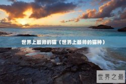 世界上最帅的猫（世界上最帅的猫种）