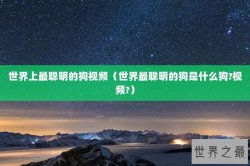 世界上最聪明的狗视频（世界最聪明的狗是什么狗?视频?）