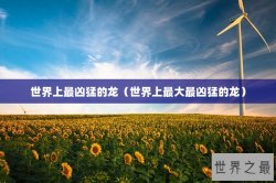 世界上最凶猛的龙（世界上最大最凶猛的龙）