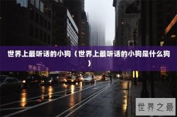 世界上最听话的小狗（世界上最听话的小狗是什么狗）