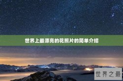 世界上最漂亮的花照片的简单介绍