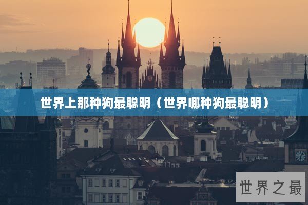 世界上那种狗最聪明（世界哪种狗最聪明）