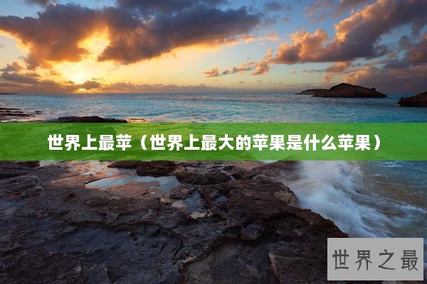 世界上最苹（世界上最大的苹果是什么苹果）