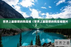 世界上最聪明的狗是谁（世界上最聪明的狗是谁图片）